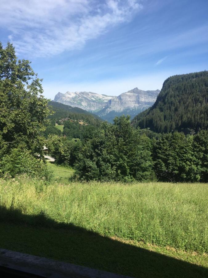 Vallee De Chamonix Au Pied Des Pistes Les Houches Bagian luar foto